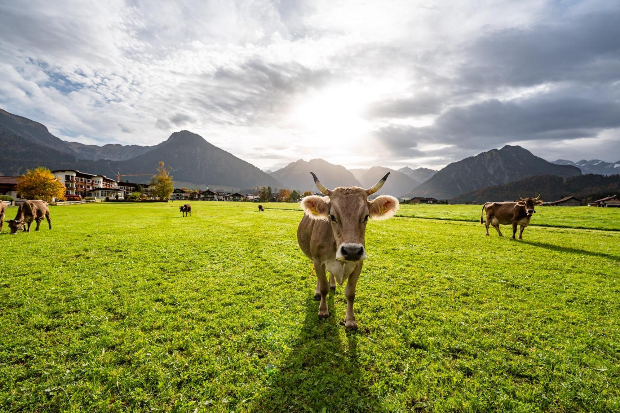 Best Western Plus Hotel Alpenhof Oberstdorf Exteriör bild